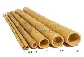 BAMBOO POLES FROM VIETNAM-ms TRACY: +84 564 017 339