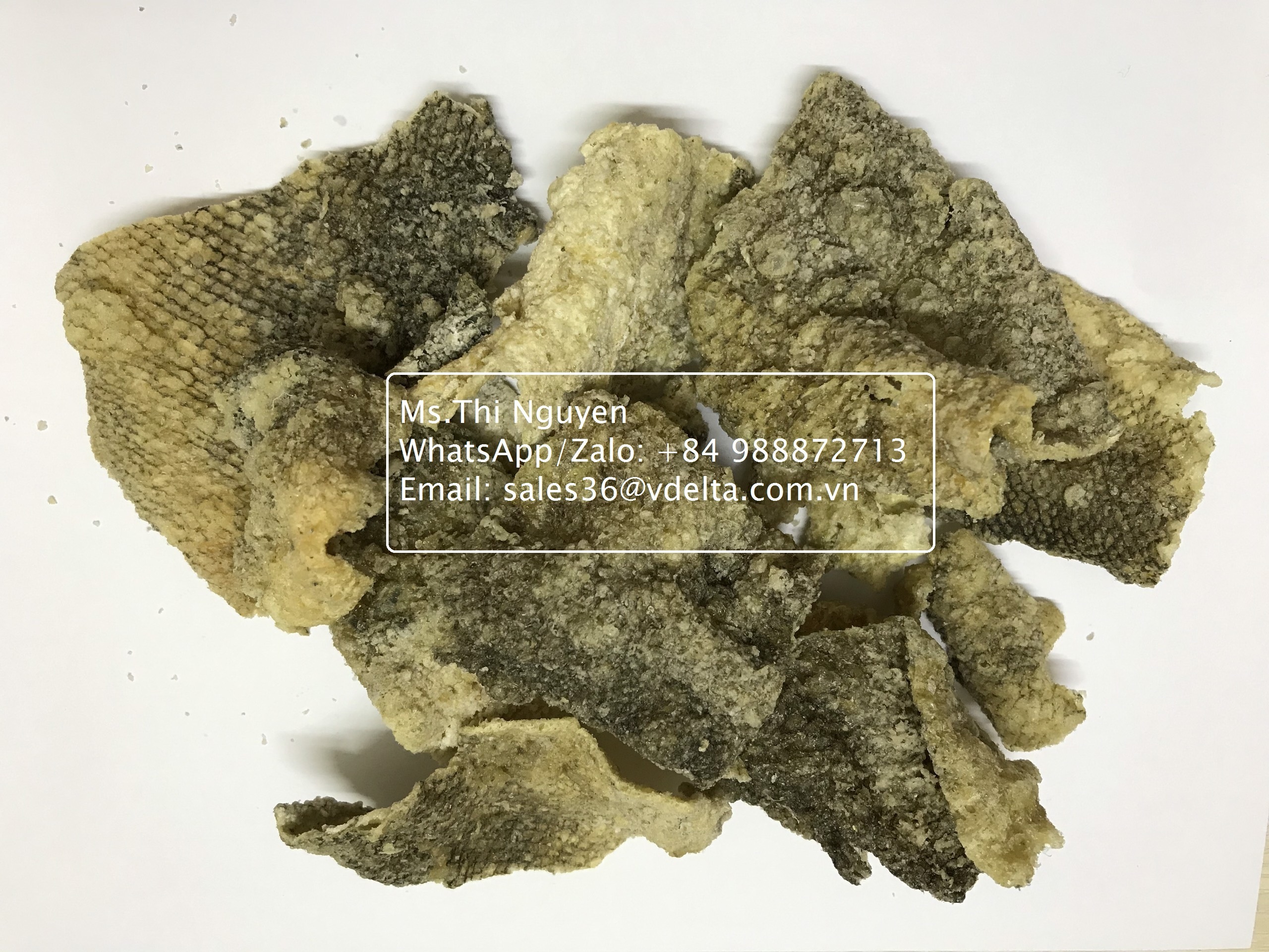 WHOLESALE DRIED / SNACK PANGASIUS / SALMON FISH SKIN HIGH QUALITY/ Ms. Lima +84 346565938