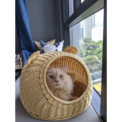 The Best Supplier Rattan Pet House/ Pet Cave/ Pet Bed Eco-friendly Toy for Your Pets Ms. Lily +84906 927 736