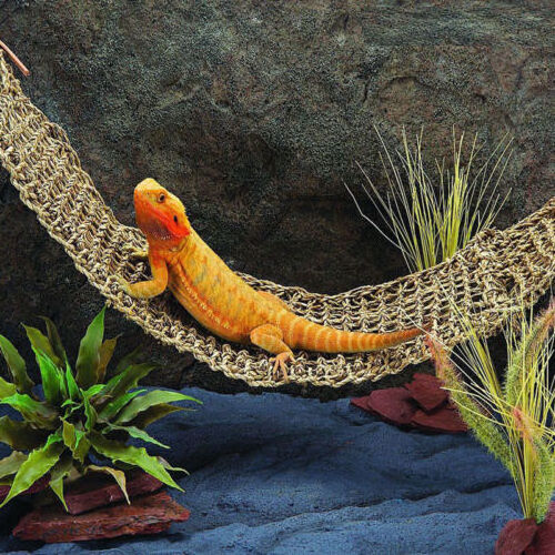 Hammock Reptile Lounge From Grass Fiber Reptile Lizard Bearded Dragon with high quality/ Ms.Thi +84 988 872 713