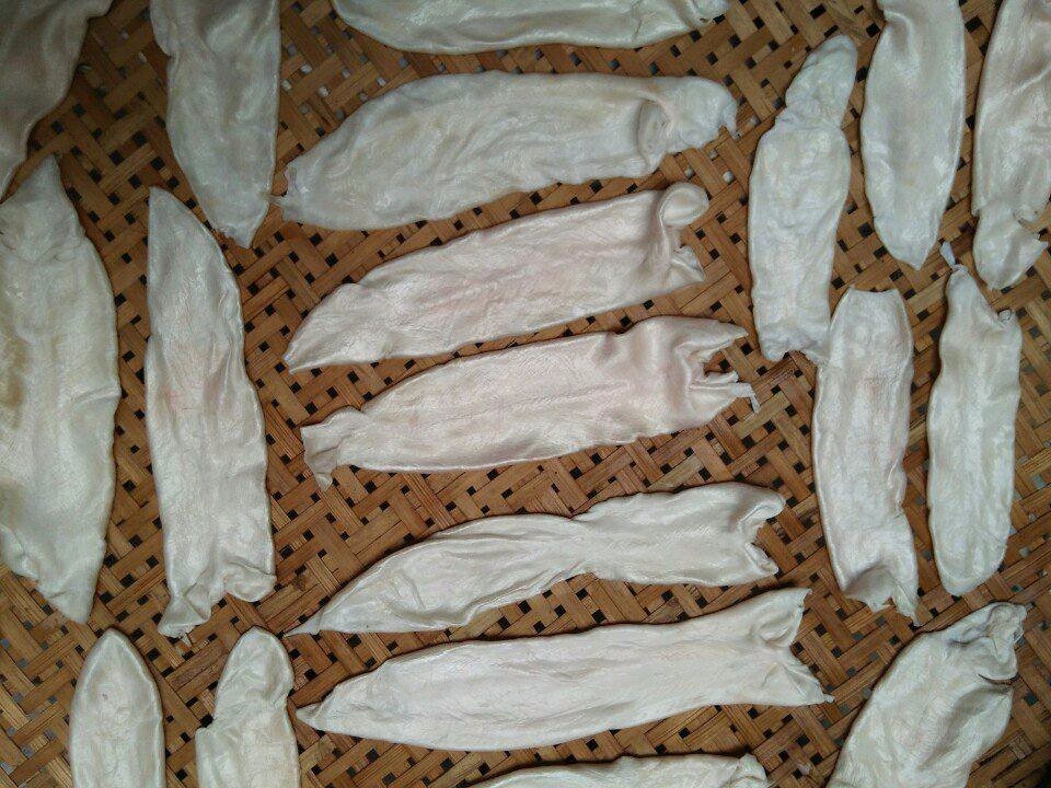 Organic Dried Fish Maw Best Price / No Chemical From Vietnam / Shyn Tran +84382089109