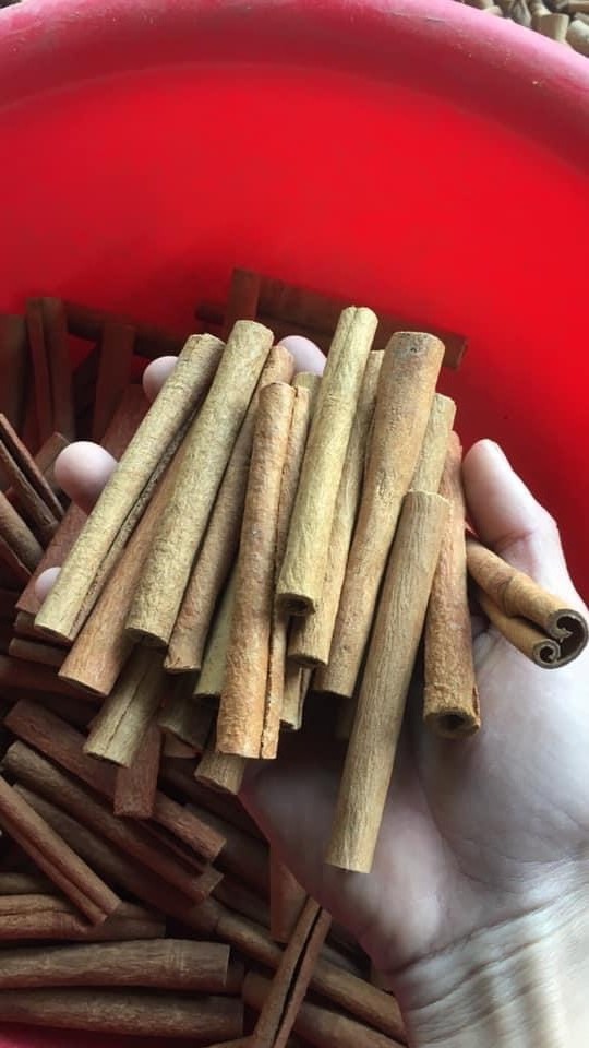 Dry Cinnamon Stick/Rolled Cinnamon From Vietnam With Reasonable Price