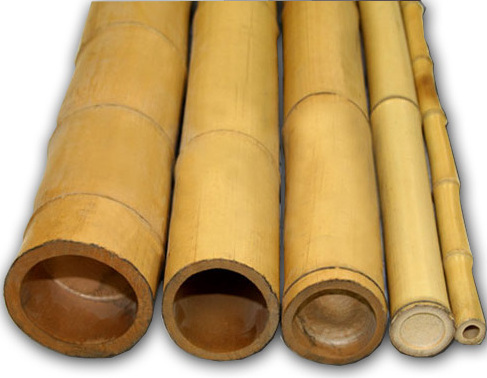 BAMBOO POLES FROM VIETNAM-ms TRACY: +84 564 017 339