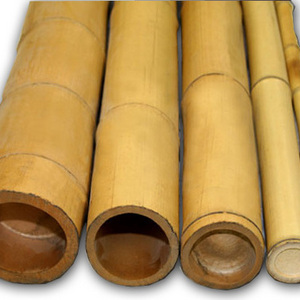 BAMBOO POLES FROM VIETNAM-ms TRACY: +84 564 017 339