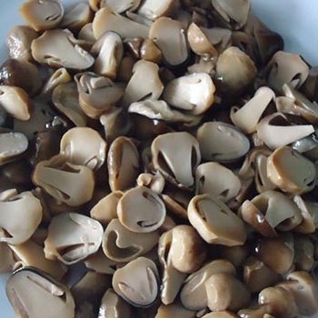 Vietnam best supplier Canned Straw Mushroom in high quality for export Lily +84 906927736