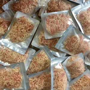 Vietnam Manufacturer Factory Price Custom Frozen Dried Shredded Squid