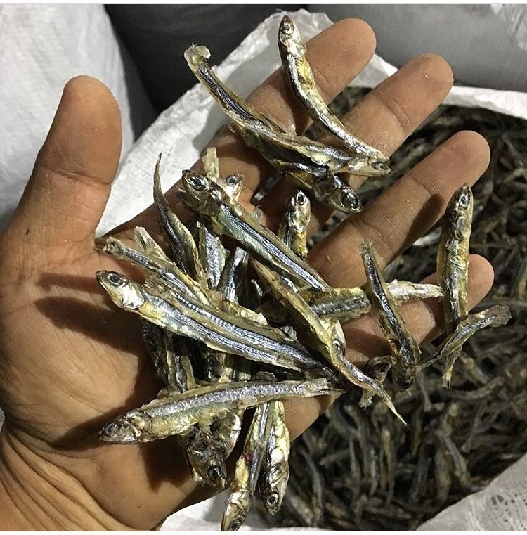 DRIED ANCHOVY FISH High QUALITY. Factory Professional Production Bulk Dried Anchovy, Dried Salted Anchovy