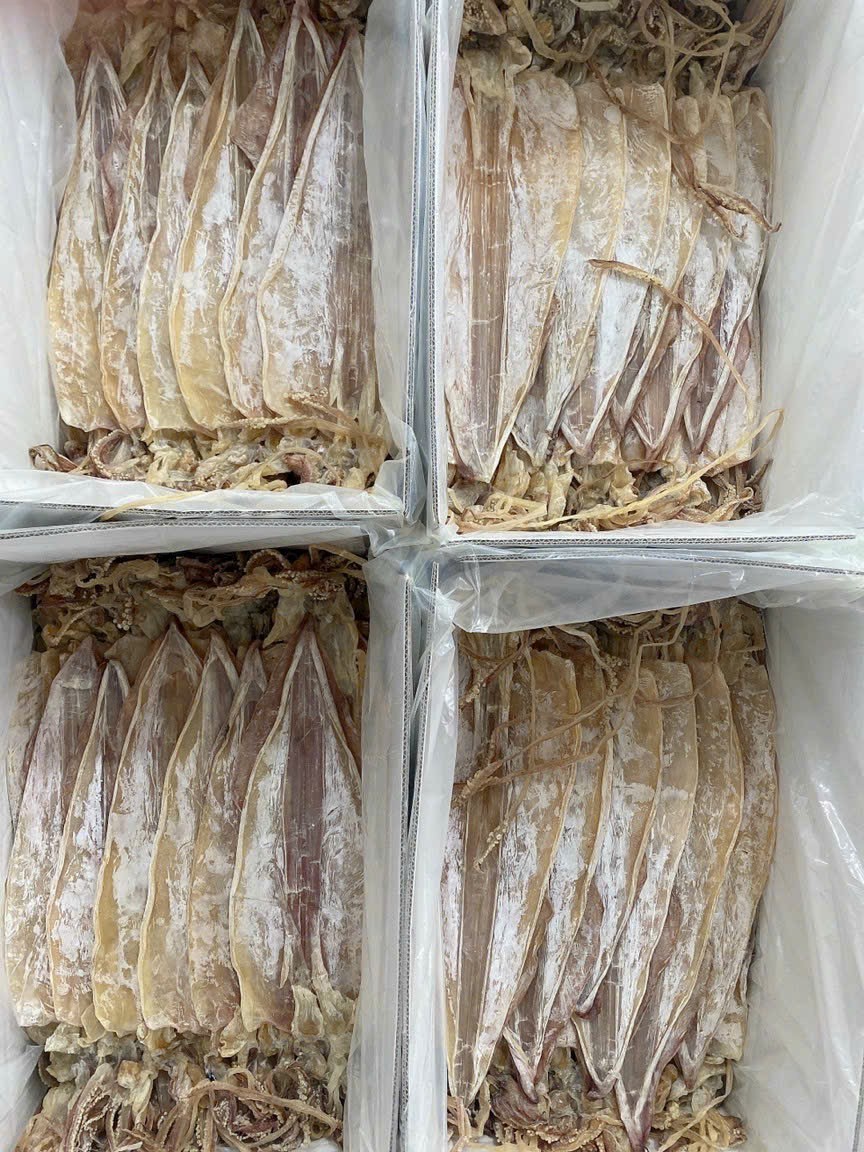 Dried thin squids Sotong Kering Nipis With 2 year Shelf Life Chiller Storage// many sizes dried squid from Vietnam