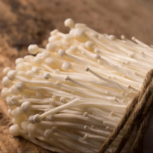 COMPETITIVE PRICE FRESH ENOKI MUSHROOM HIGH QUALITY IN VIETNAM/ Ms. Laura +84 91 850 9071