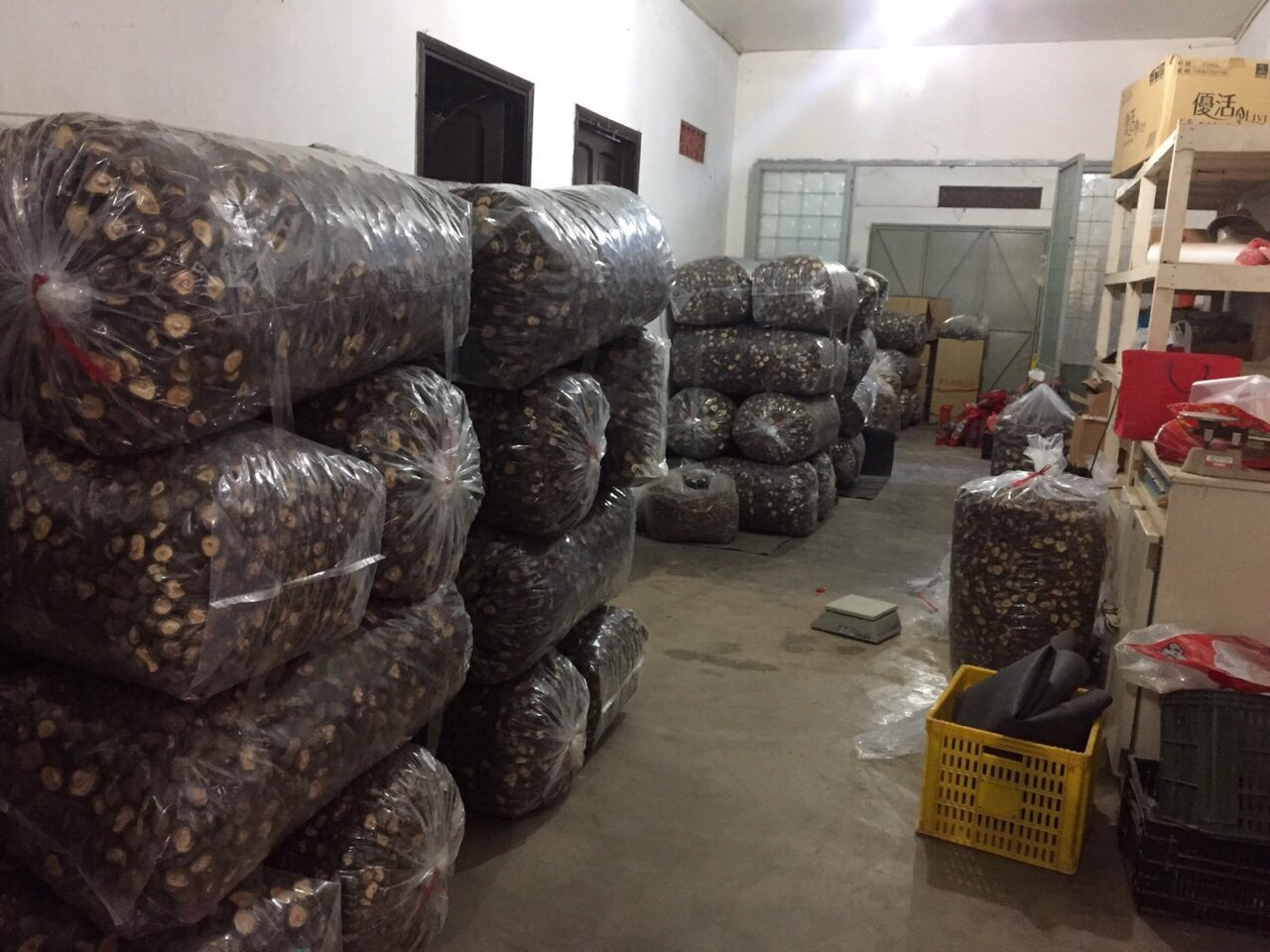 Raw Shiitake Mushroom/ Dried Mushroom from Vietnam with The Best Price Ms. Lily +84 906 927 736