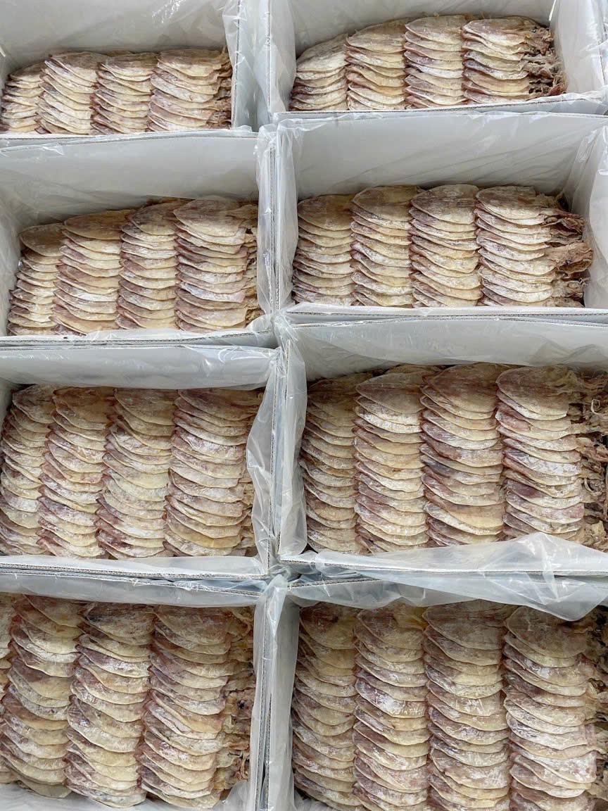 Dried thin squids Sotong Kering Nipis With 2 year Shelf Life Chiller Storage// many sizes dried squid from Vietnam