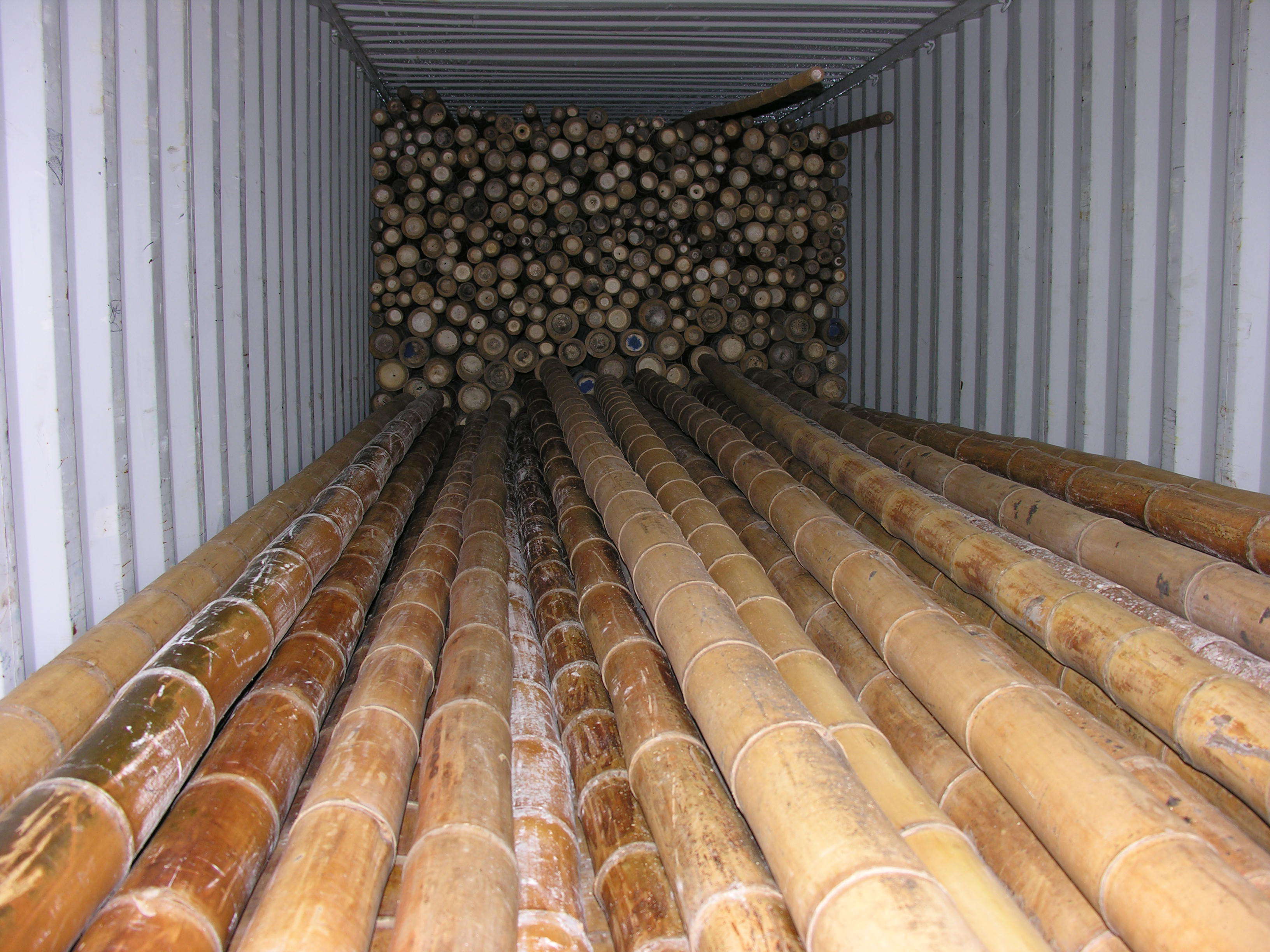 BAMBOO POLES FROM VIETNAM-ms TRACY: +84 564 017 339