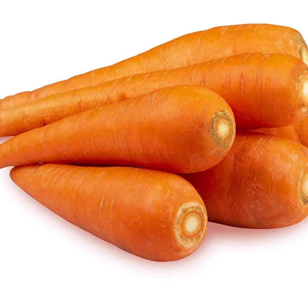 FRESH CARROT READY TO EXPORT