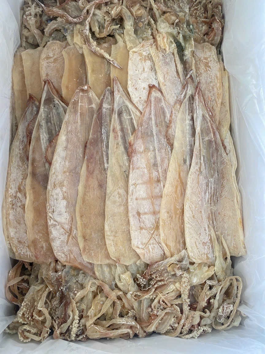 Dried thin squids Sotong Kering Nipis With 2 year Shelf Life Chiller Storage// many sizes dried squid from Vietnam