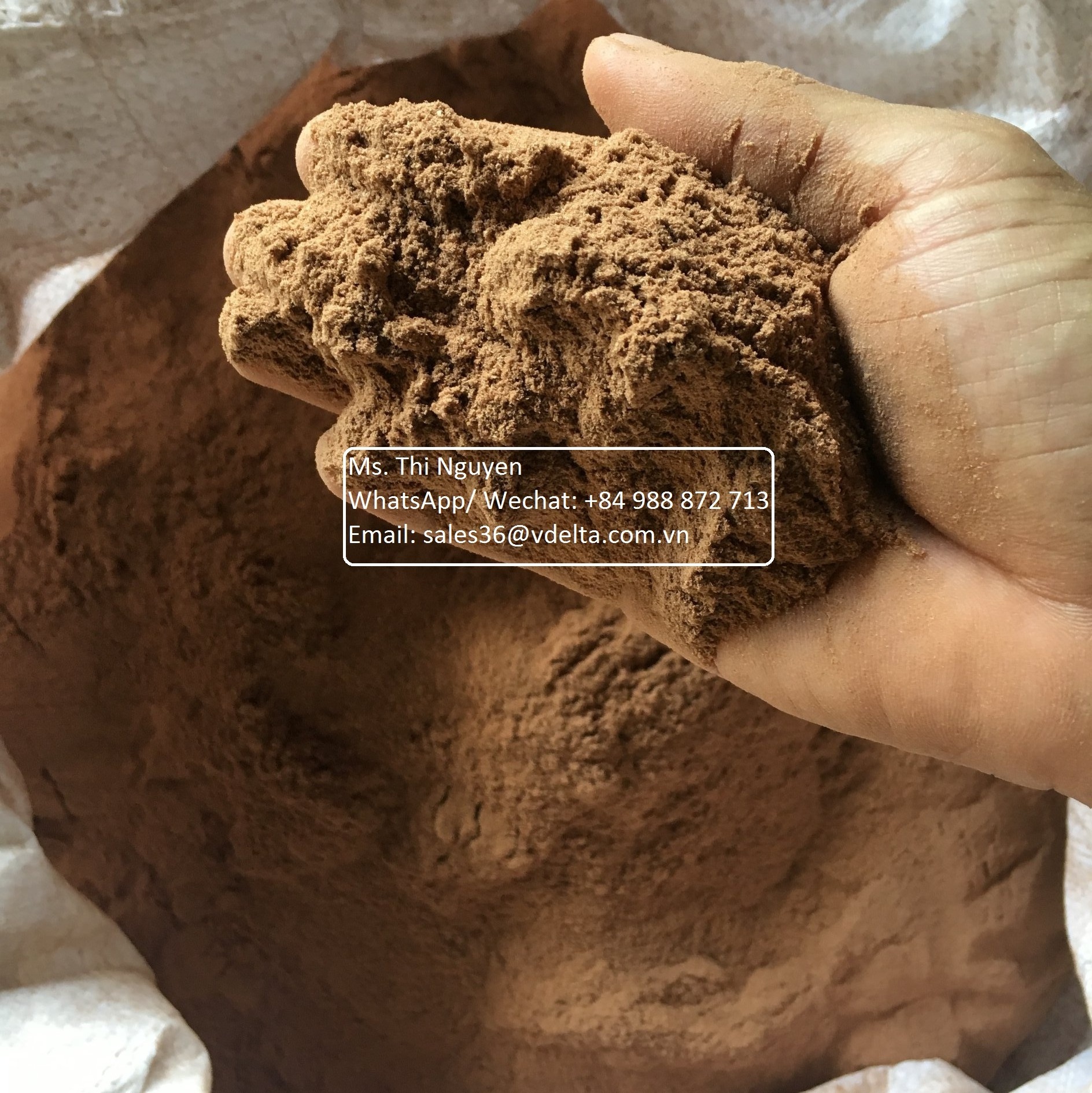 Joss powder /100% Litsea glutinosa red shell Powder/ MAKKO POWDER from 12 to 36 cups /Mr. Kevin +84 968311314