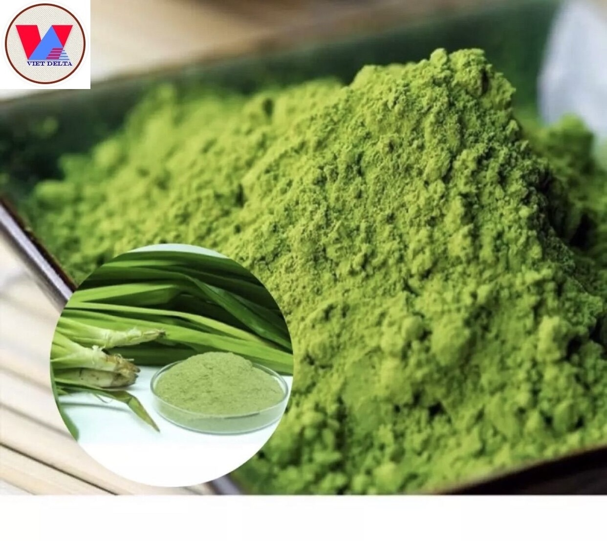 100% PURE PANDAN EXTRACT POWDER FROM VIETNAM