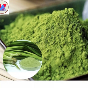 100% PURE PANDAN EXTRACT POWDER FROM VIETNAM