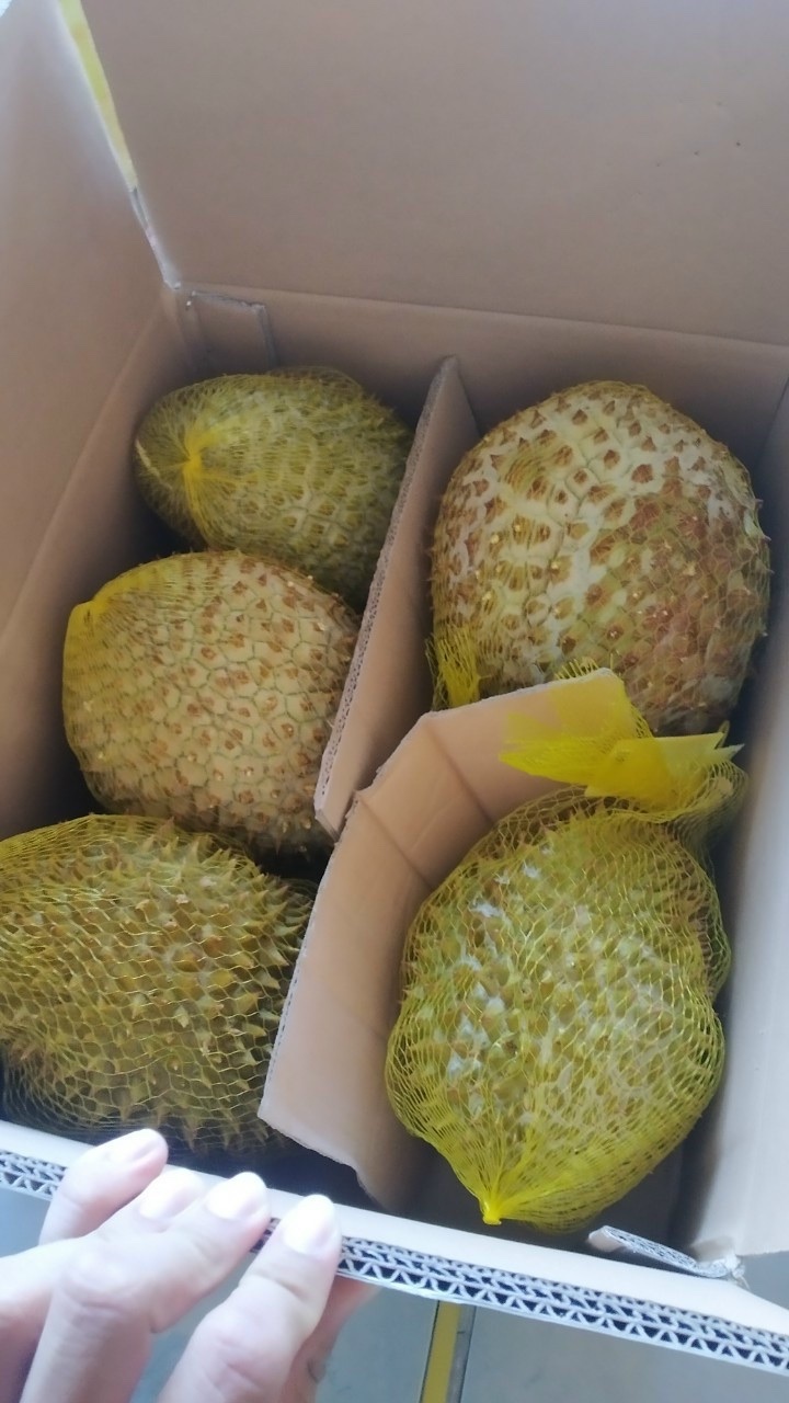 WHOLESALE FRESH DURIAN FROM VIET NAM - Ms. Ann +84 902627804