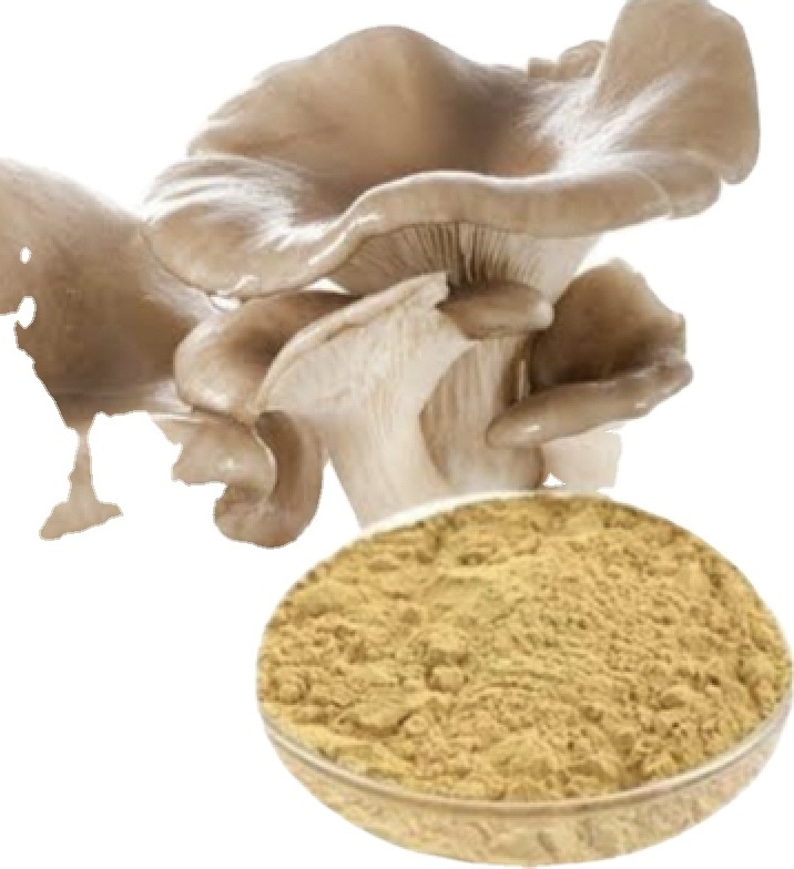 VIET NAM TOP QUALITY OYSTER MUSHROOM POWDER ABALONE MUSHROOM POWDER /MS. LAURA +84 918 509 071