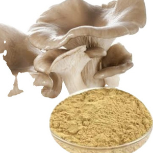 VIET NAM TOP QUALITY OYSTER MUSHROOM POWDER ABALONE MUSHROOM POWDER /MS. LAURA +84 918 509 071