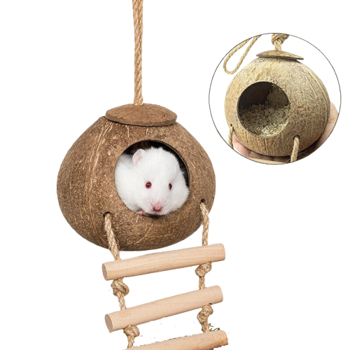 Hanging Bird House with Ladder - Natural Coconut Fiber Shell Bird Nest Breeding - Swing Toys for Parrot Parakeet and Hamster