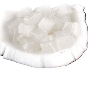 Fruity Coconut Jelly Fresh Chewy Mini Coconut Jelly - Best Price//Ms. Serene