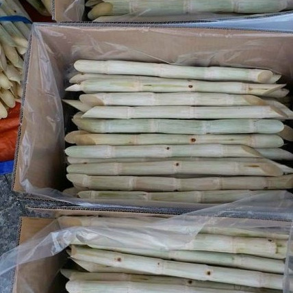 Frozen Sugarcane for export from Vietnam