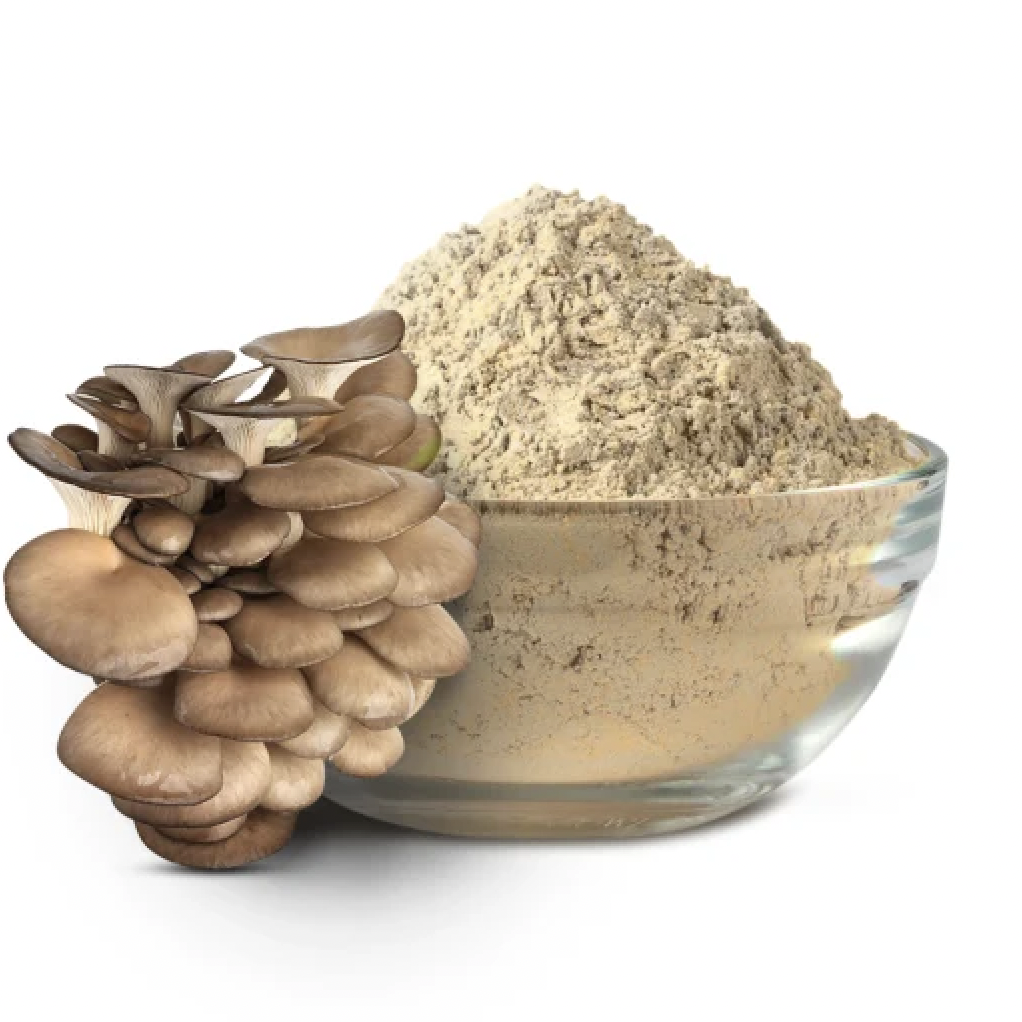 VIET NAM TOP QUALITY OYSTER MUSHROOM POWDER ABALONE MUSHROOM POWDER /MS. LAURA +84 918 509 071