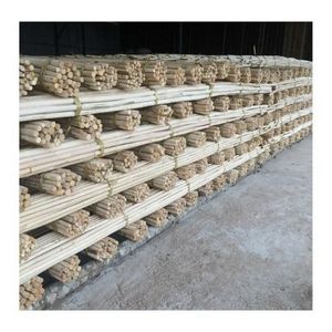 Wholesale Raw Rattan Poles/ Dried Rattan Pole/ Manau Straigh Rattan Cane in Bulk for Export Ms Lily +84 906927736