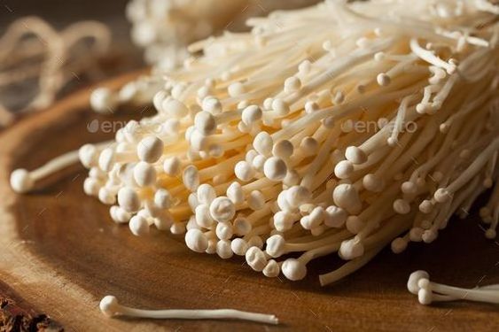 COMPETITIVE PRICE FRESH ENOKI MUSHROOM HIGH QUALITY IN VIETNAM/ Ms. Laura +84 91 850 9071