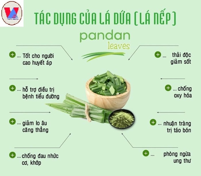 100% PURE PANDAN EXTRACT POWDER FROM VIETNAM