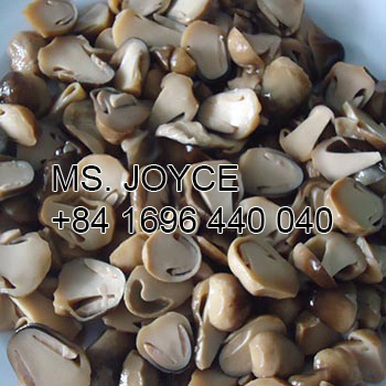 Vietnam best supplier Canned Straw Mushroom in high quality for export Lily +84 906927736