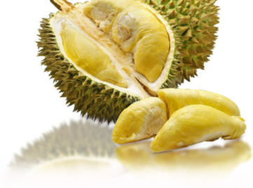 WHOLESALE FRESH DURIAN FROM VIET NAM / Mr. Ethan Vietdelta +84941069457 (Whatsapp)