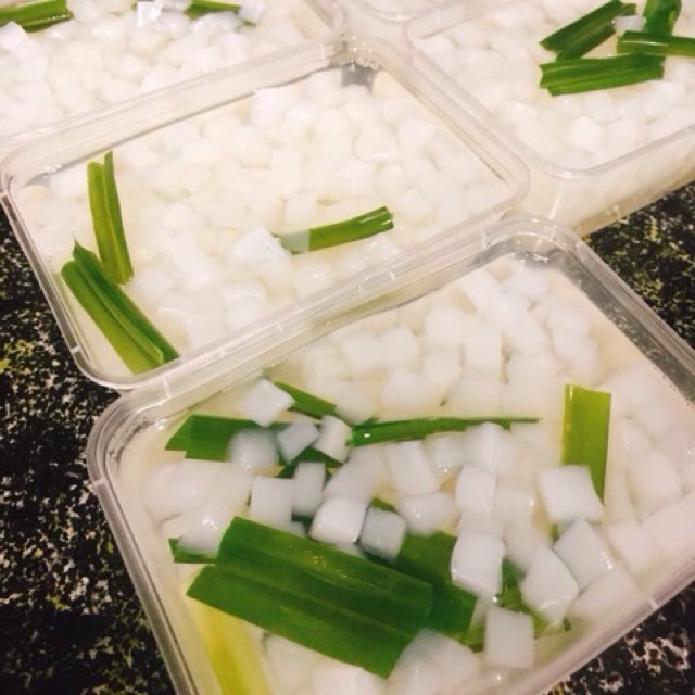 NATA DE COCO/ COCONUT JELLY WITH BEST PRICE FROM VIETNAM/MS.THI NGUYEN +84 988 872 713