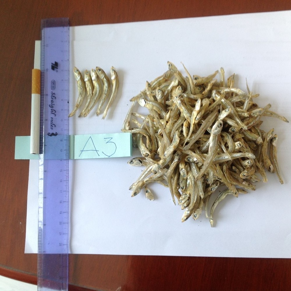 DRIED ANCHOVY FISH High QUALITY. Factory Professional Production Bulk Dried Anchovy, Dried Salted Anchovy