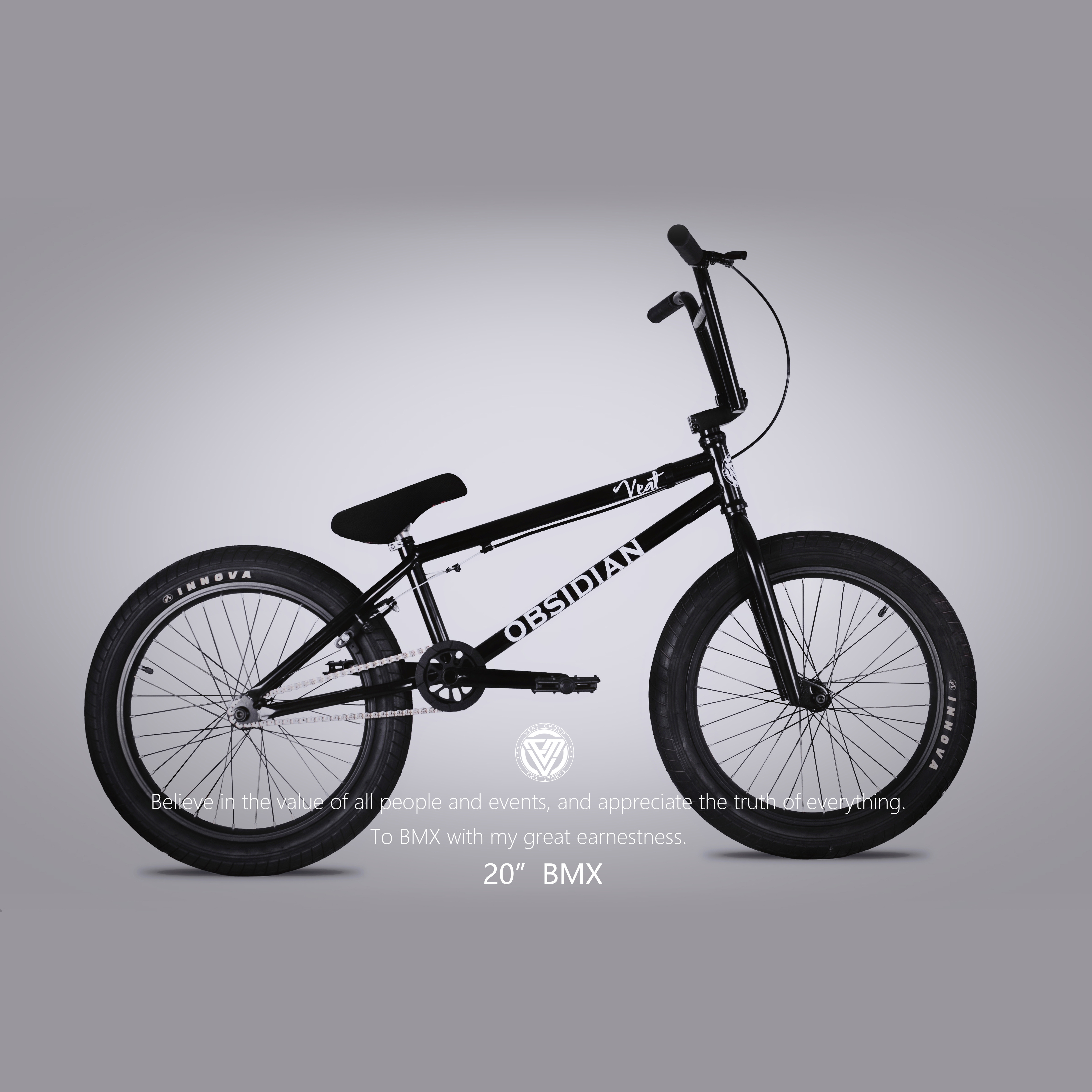 20inch BMX Bike