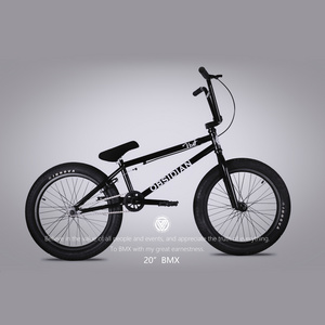 20inch BMX Bike