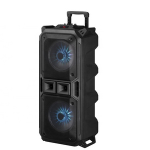 Daul 8 inch Speaker Box Portable Trolley Speaker Rechargeable with one wired mic for party