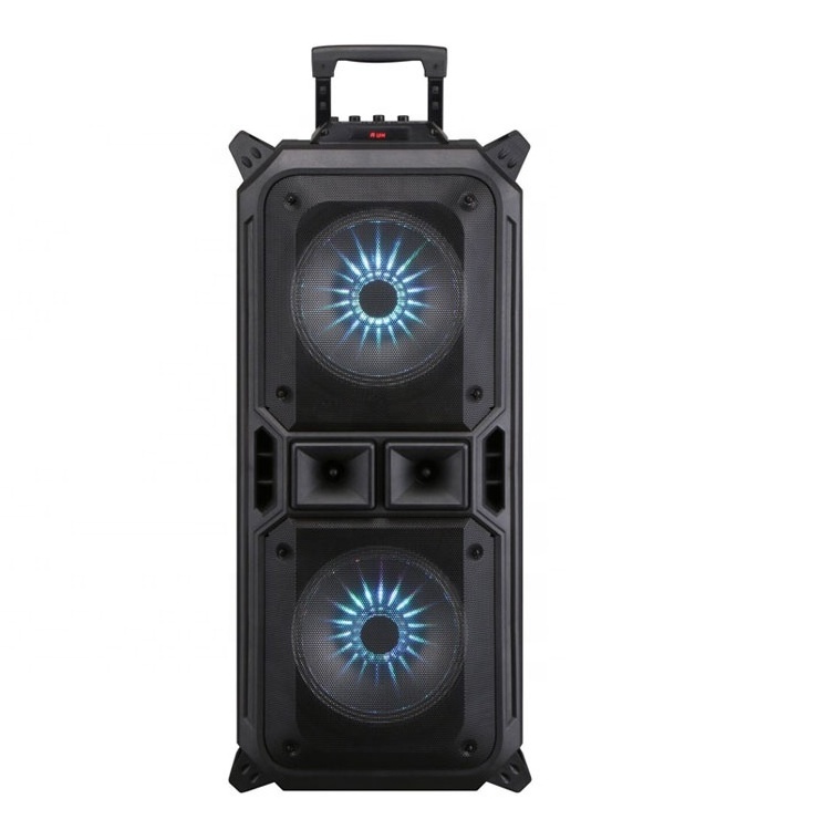 Daul 8 inch Speaker Box Portable Trolley Speaker Rechargeable with one wired mic for party