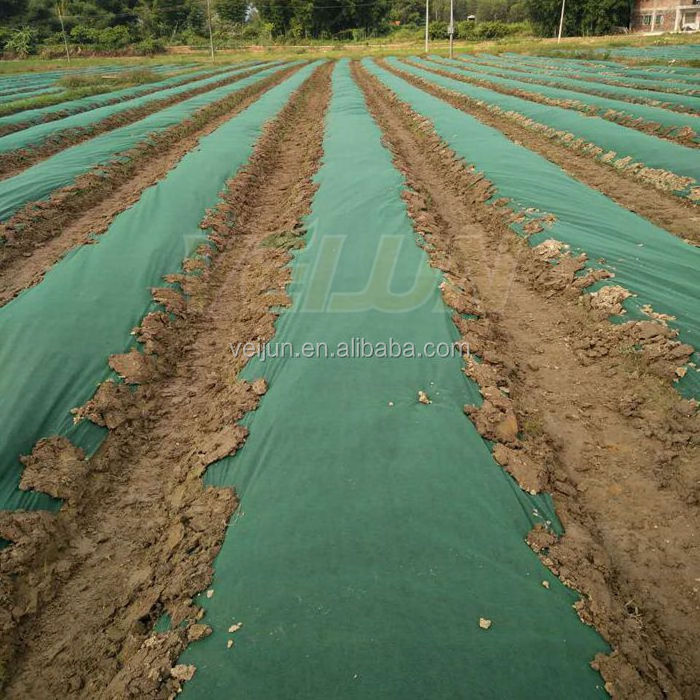 Agriculture Water Permeable Non-woven Groundcover Weedmat Roll Grass Control Mat Weed Block Landscaping Fabric