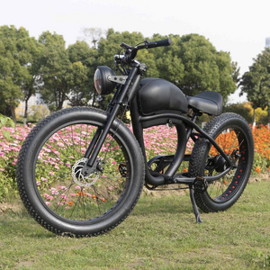 USA popular 48V 750W fat tire vintage electric bike wholesale 40km/h speed electric ride on bike with lithium battery