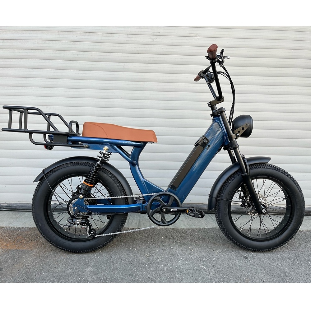 2024 Vintage Electric Bike Beach Snow Bicycle 20