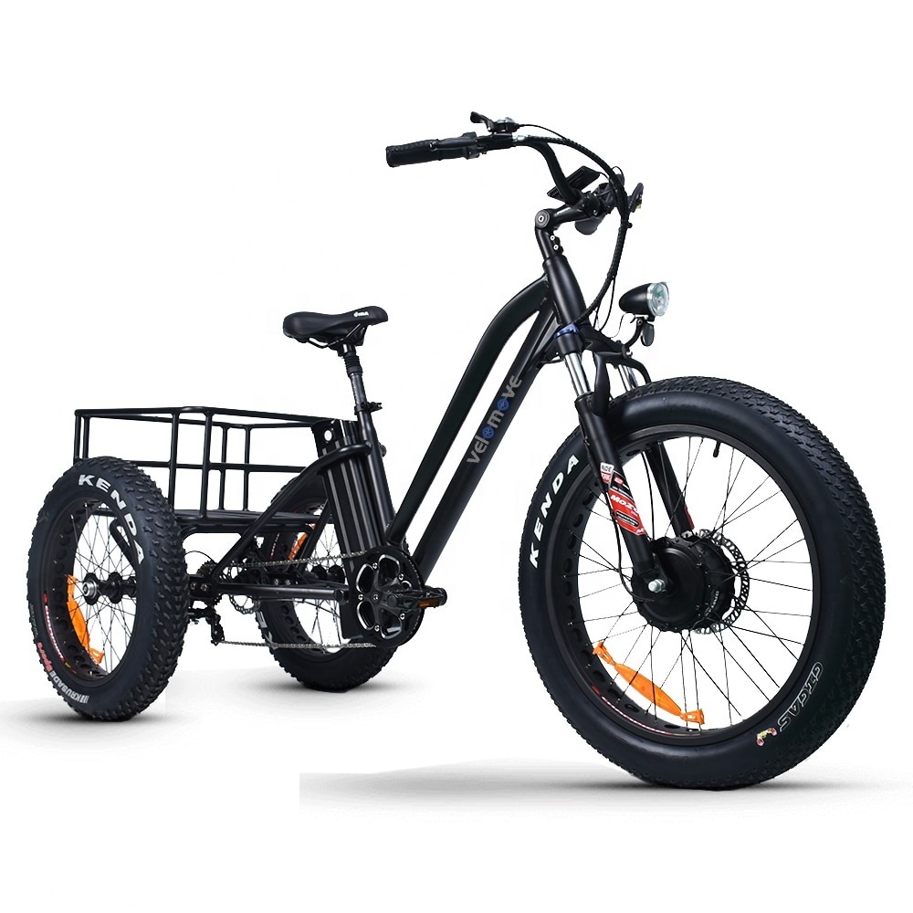 20-24inch Fat Tire 48V 750W 15AH OEM Pedicab Cargo CE 3 Wheels Adult Electric Tricycles