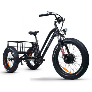 20-24inch Fat Tire 48V 750W 15AH OEM Pedicab Cargo CE 3 Wheels Adult Electric Tricycles