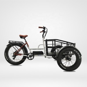 new design 48v 750w 3 wheel electric bicycle three wheels adult cargo electric bike with front basket