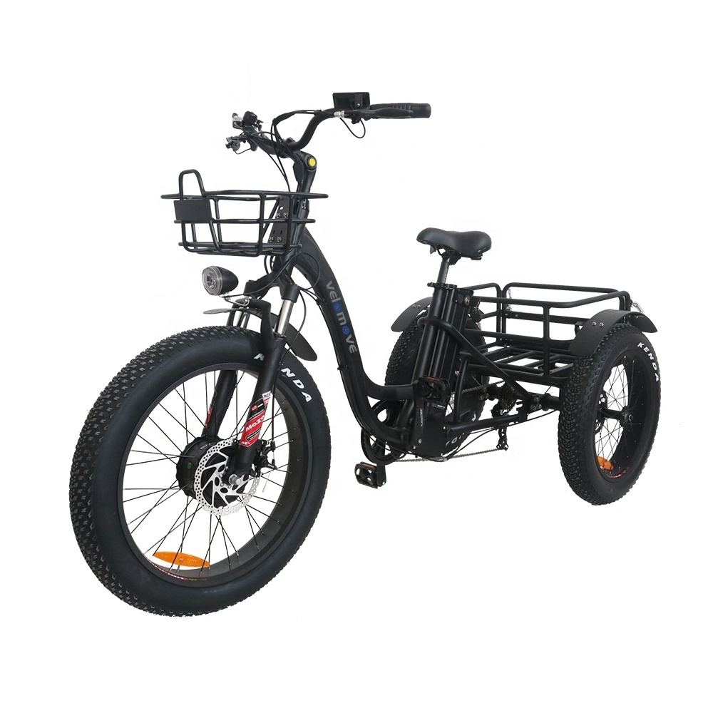 20-24inch Fat Tire 48V 750W 15AH OEM Pedicab Cargo CE 3 Wheels Adult Electric Tricycles