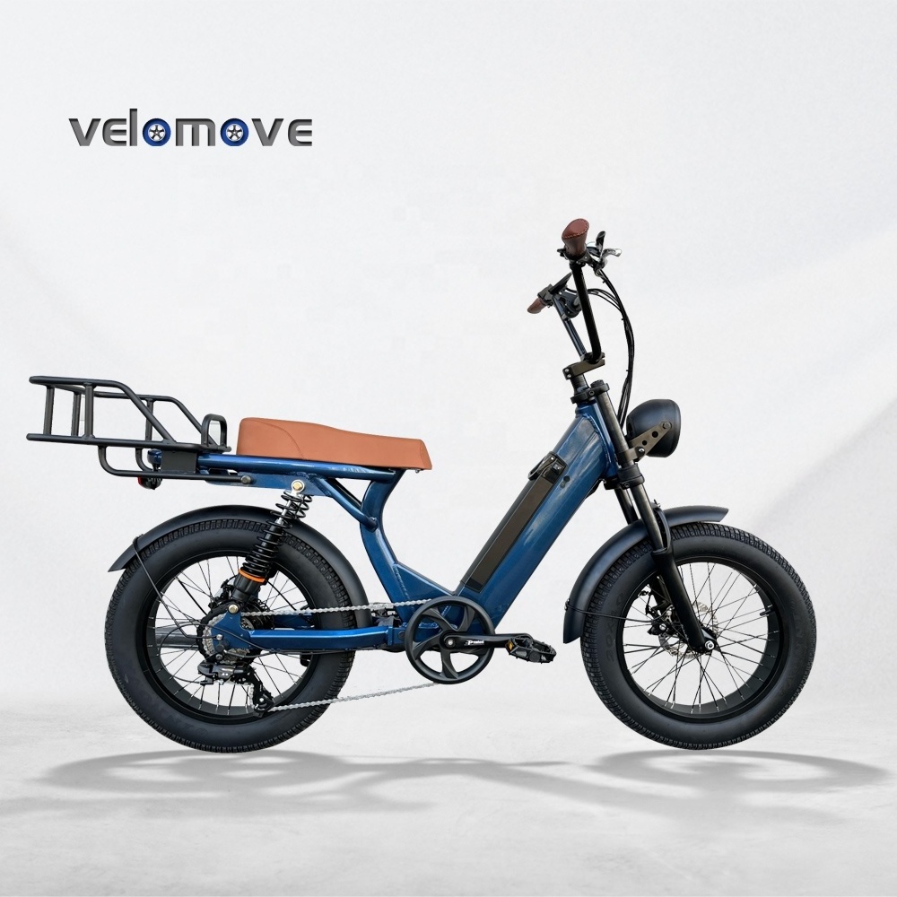 electric bike moped type long seat fat tire 48V750W daul suspension shock absorb ebike