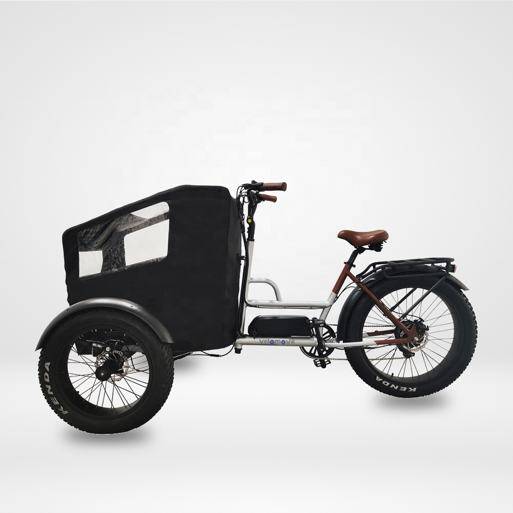 new design 48v 750w 3 wheel electric bicycle three wheels adult cargo electric bike with front basket