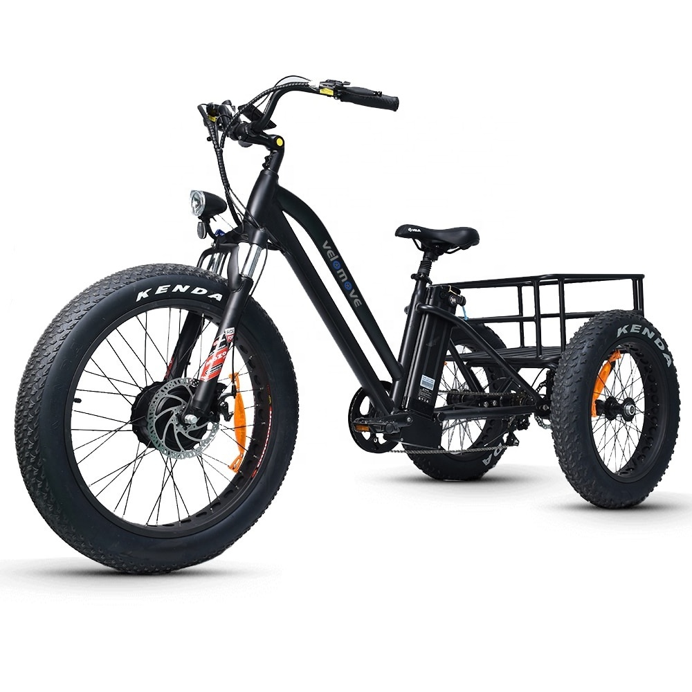 20-24inch Fat Tire 48V 750W 15AH OEM Pedicab Cargo CE 3 Wheels Adult Electric Tricycles