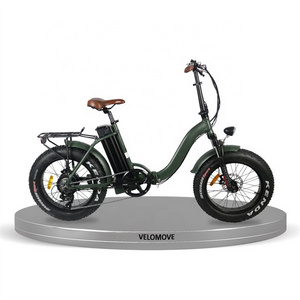 Hot Sale OEM Foldable Bicicletas Eectricas/48V 1000W Exercise Pieghevole Ebike Electric Cycle/20 inch Folding Bici Eletrica